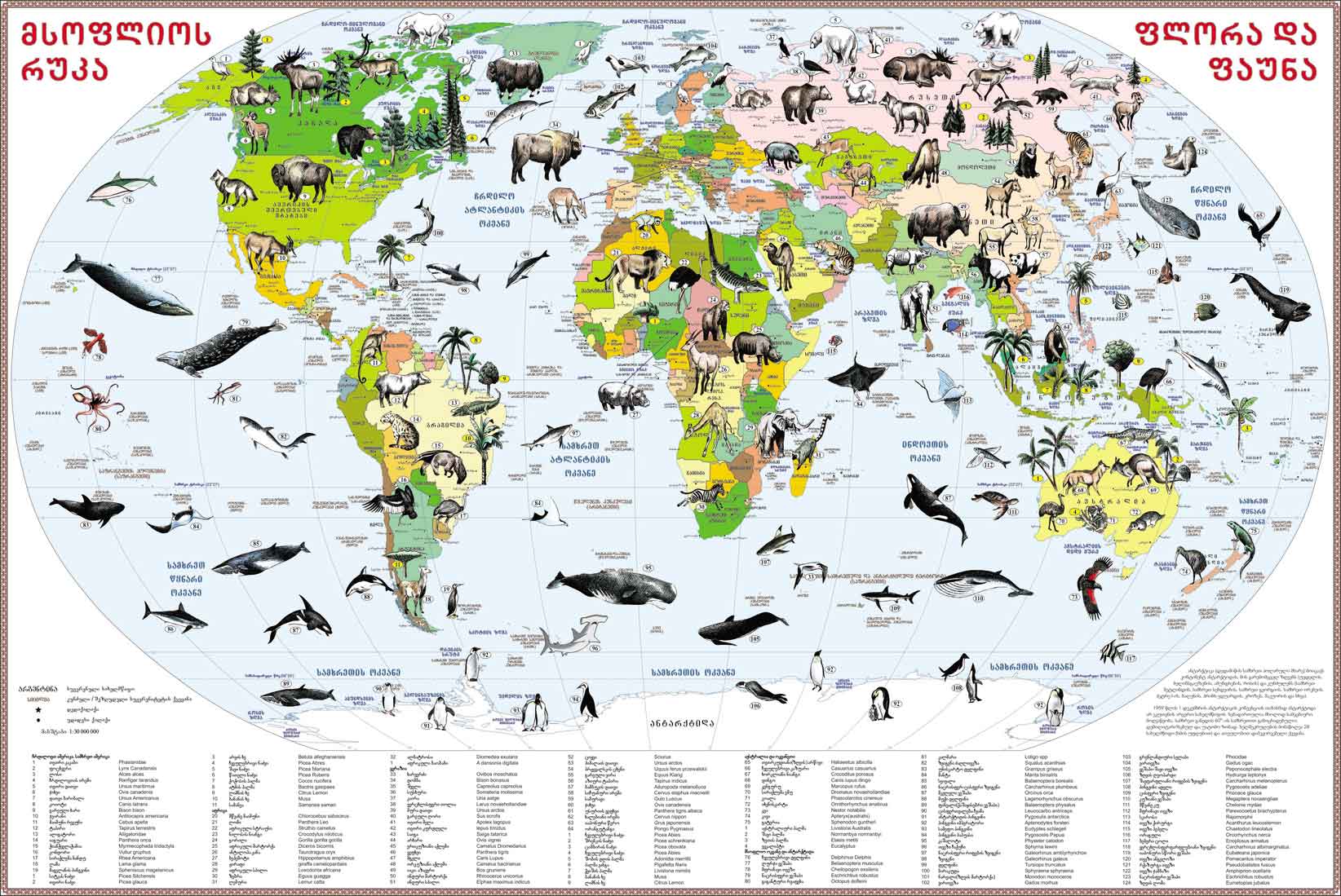 მსოფლიოს რუკა / ფლორა და ფაუნა